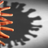 How frequent was SARS-CoV-2 and malaria co-infection during the first wave of the pandemic?