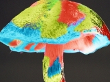 Eating mushrooms may reduce risk