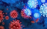 US COVID-19 cases continue steep decline