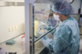 Monkeypox response in Europe