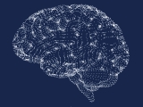 Does obesity have more to do with the brain than we initially thought?