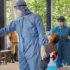 Coronavirus digest: WHO sees drop in global cases | News | DW