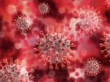 New Covid-like virus found in Russian bats