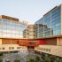 One cup of leafy green vegetables a day lowers risk of heart disease — ScienceDaily