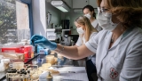 New vaccines and old can curb drug resistance
