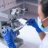 RSM Survey Reveals Pandemic-driven Work Changes are Becoming Permanent as Competition for Talent Continues