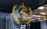 WHO says COVID-19 cases are falling globally, except in the Americas