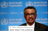 WATCH: WHO reports 80 percent rise in infections in last four weeks
