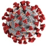 WHO Statement on advancing the next series of studies to find the origins of SARS-CoV-2