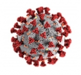 WHO prequalifies first monoclonal antibody