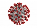 Interim statement on COVID-19 vaccine booster doses