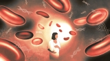 A common DNA test can find cancer in bodies of seemingly healthy pregnant people : Shots