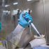 Healthcare jobs recovered from early pandemic losses