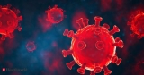 Omicron BF.7 not a threat to India, Health News, ET HealthWorld