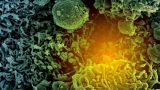 COVID: New subvariants evade antibodies from vaccination, prior Omicron infection
