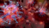 What is the Omicron Variant’s Incubation Period and How Long Are You Contagious? – NBC Chicago