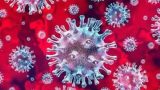 Neurological and psychiatric risk after Covid infection? See what Lancet study shows