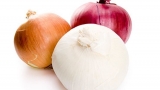 A salmonella outbreak is linked to onions from Mexico sold in the U.S. : NPR