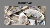 CDC reports more than 90 sick in U.S. outbreak traced to oysters from Canada