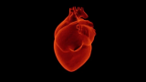 How To Take Top Care Of Your Heart And Cardiovascular Health