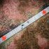 California coronavirus updates: Nevada ends COVID-19 emergency declarations