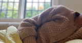 Why You Should Rest If You Have COVID-19