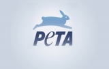 PETA to CDC: Suspend Monkey Imports in Light of New Endangered Status