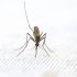 Judge throws out Maine lawsuit against COVID vaccine mandate | WWTI