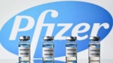 COVID-19: Indonesia examines use of Sinovac, Pfizer vaccines for kids