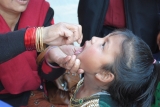 WHO South-East Asia Region polio-free, accelerated efforts needed in view of increased risks: experts