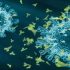 CDC Issues Update on Search for Source of Midwestern E. coli Outbreak | CDC Online Newsroom