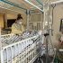 CDC needs Congress to help it collect public health data