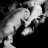 Cases triple in Europe, urgent action needed to contain spread
