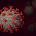 Covid News: 35 Companies Sign on to Produce Generic Versions of Pfizer’s Covid Pill