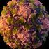 What to know about symptoms, transmission