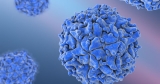 Circulating poliovirus in New York; CDC monkeypox vaccine equity program