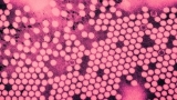 Canada to start testing some wastewater for polio ‘as soon as possible’