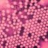 COVID fears? FDA now says you need to pass 3 home tests to be safe