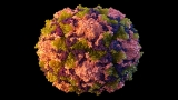 CDC deploys team to NY for potential polio outbreak