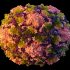 August 6, 2022 coronavirus update for Oakville