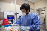 Vaccine-derived poliovirus type 2 (VDPV2) detected in environmental samples in London, UK