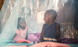 Despite continued impact of COVID-19, malaria cases and deaths remained stable in 2021