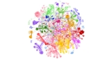 Startup Advances Precision Medicine for COVID-19, Chronic Diseases