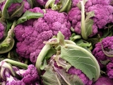 List of foods, health benefits, and more