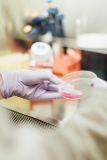 The Quadripartite establishes the Quadripartite Technical Group on Antimicrobial Resistance and Use Integrated Surveillance (QTG-AIS)