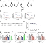Researchers discover existing drug can disrupt coronavirus replication