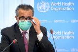 Global COVID Cases Up for 4th Consecutive Week, WHO Says | Voice of America