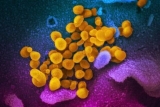 BC CDC quietly removes all requirement to self-isolate when COVID-positive – BC News