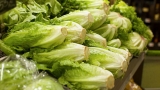 E. coli outbreak linked to Wendy’s grows to 84 reported cases: CDC