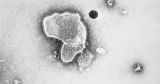 Pfizer’s RSV vaccine; $3.2B CDC grant for health workforce